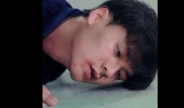 念念在线观看免费观看,重温经典，情感共鸣之旅